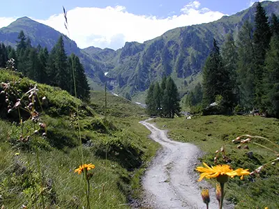 Hotel, Pension, Gasthof, hochkönig, embacherhof- Bammer Hütte