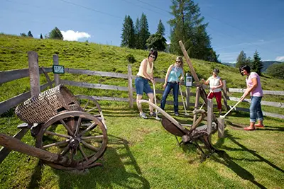 Berggoöf, Sommer, Urlaub, hochkönig, embacherhof, wandern