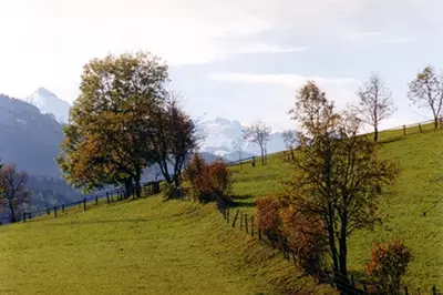 Sommer, Urlaub, hochkönig, embacherhof, wandern
