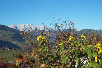 Hotel, Pension, Gasthof, Urlaub, hochkönig, embacherhof, wandern