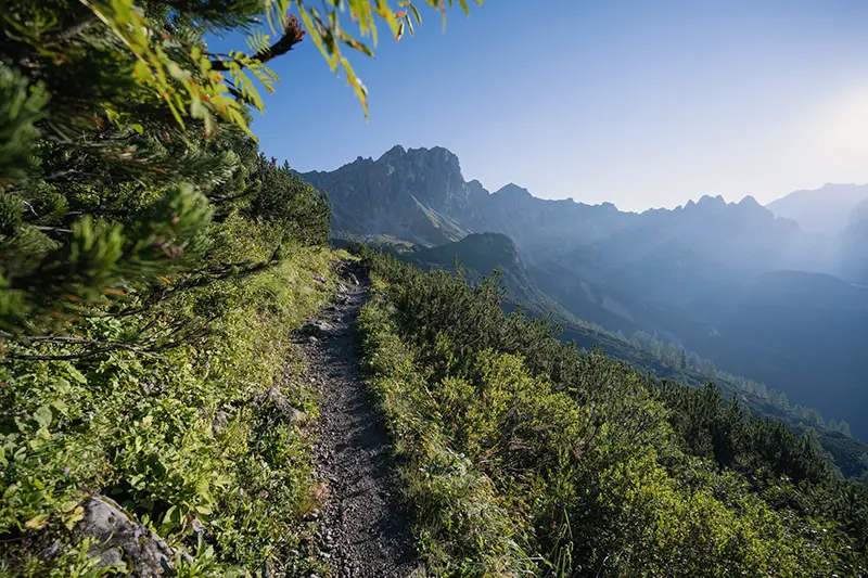 SOMMER IM SALZBURGERLAND